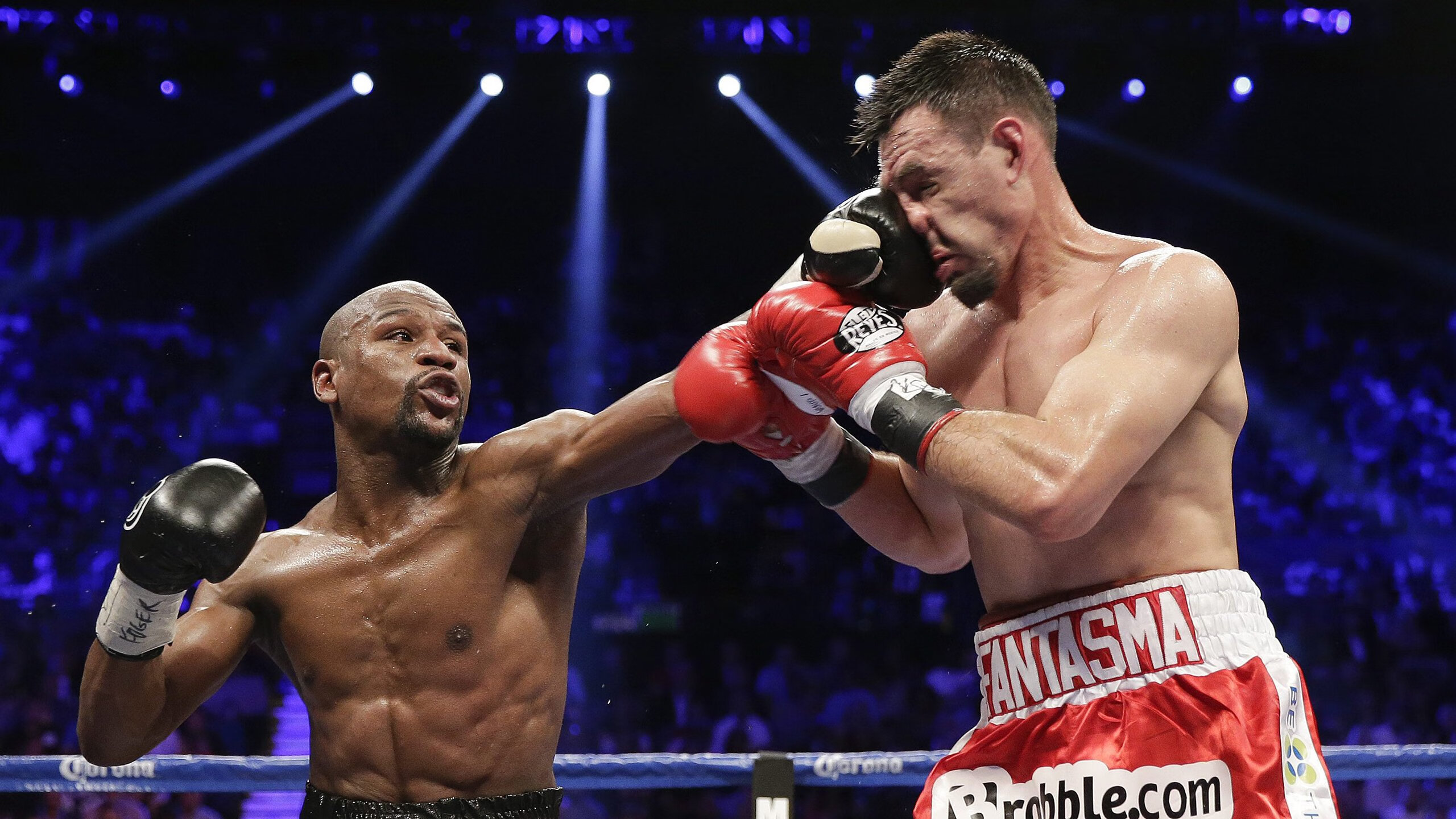 _海底探险滑翔：在海底世界畅快遨游_，海底探险绘画