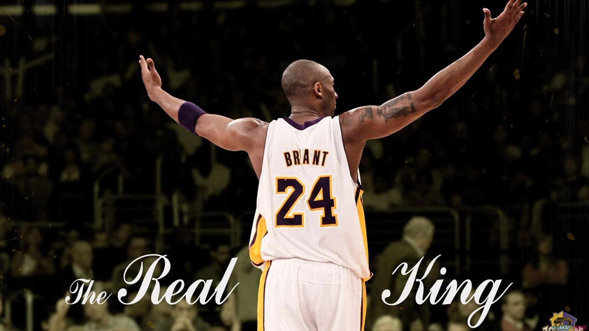 _海底水下运动竞技：探索未知海域_，未知海底生物